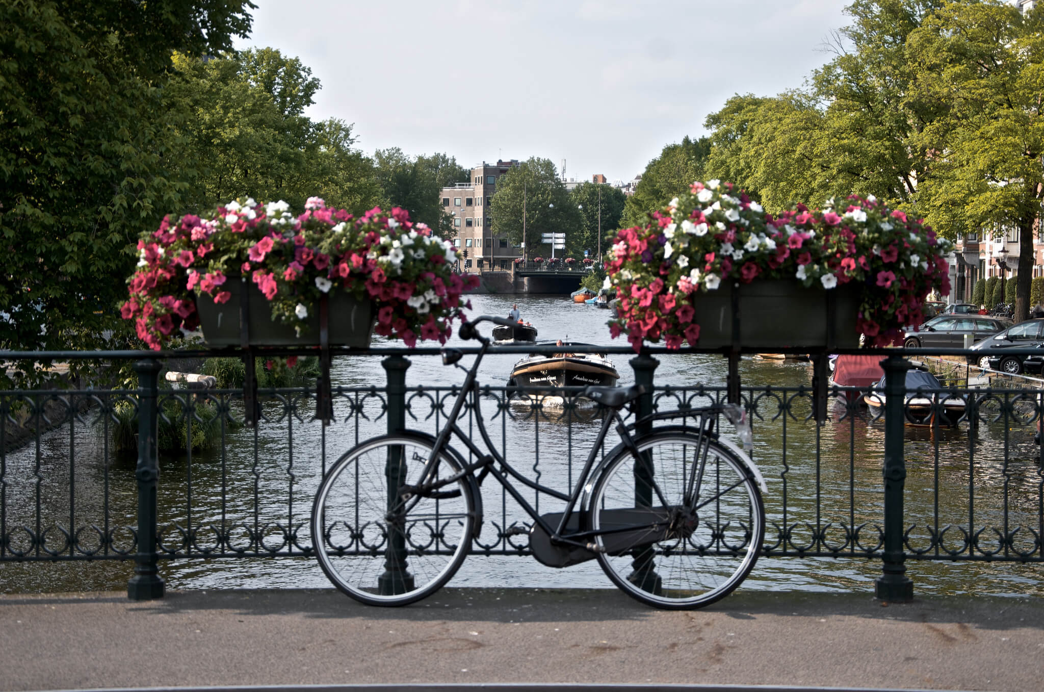 cycle local